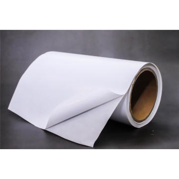 Self Adhesive Cast Coated Paper with white glassine